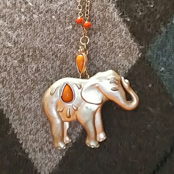 Jewelry - Long necklace.